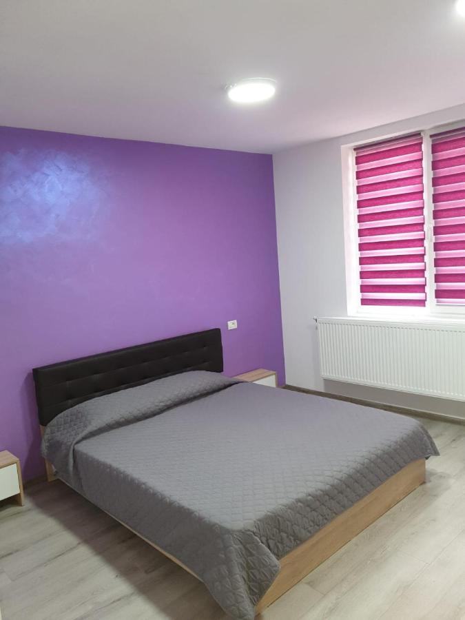 Apartament Negris Bîrlad Dış mekan fotoğraf